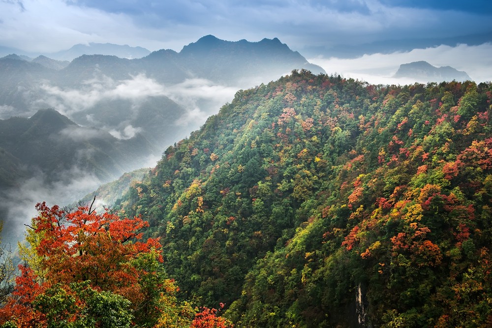 渝陕界梁,是重庆城口县北屏乡与陕西岚皋县交界一段大巴山脉,站在大巴